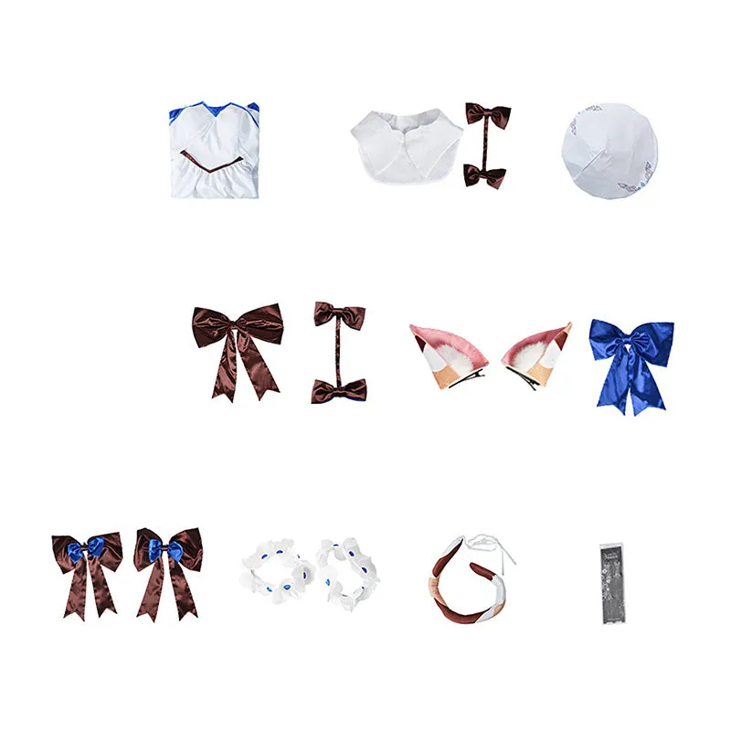 Genshin Impact Diona Concert 2023 Cosplay Costume