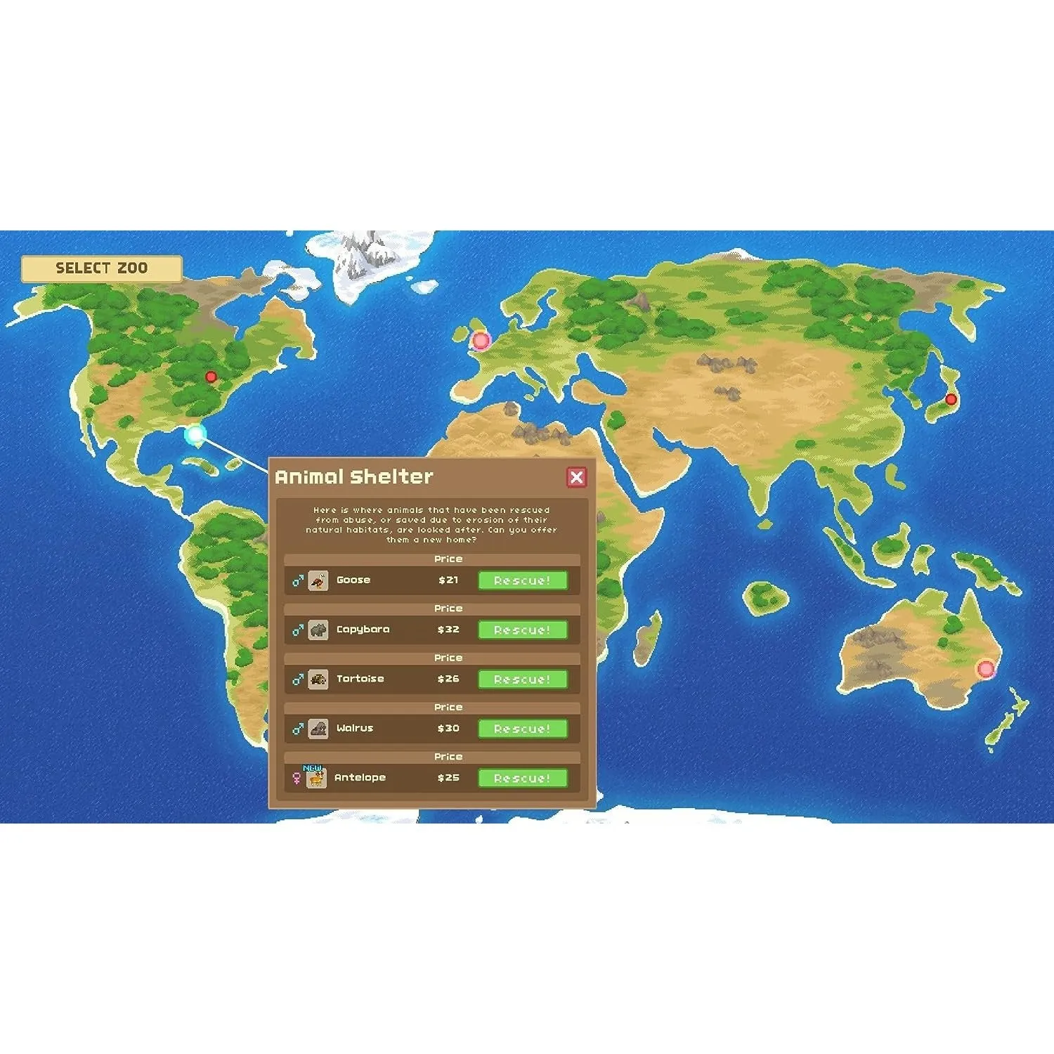 Let's Build A Zoo (Nintendo Switch)