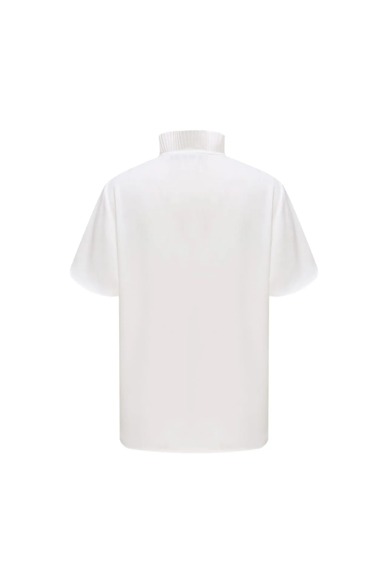Pleated Stand Collar 
Blouse